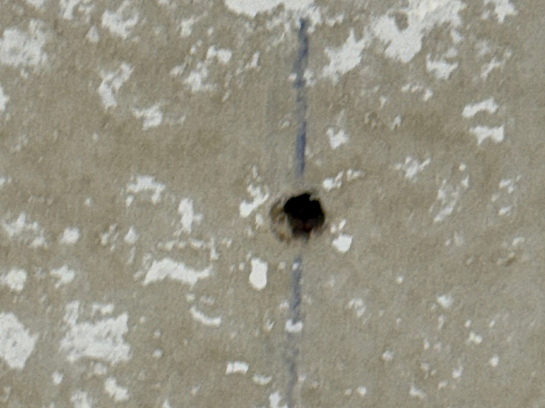 Border Inn Casino主图