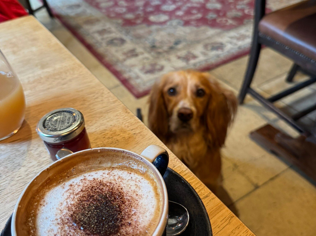 Pheasant Inn (hotel)主图