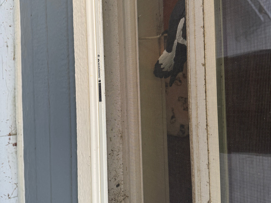 Toby's Retreat at Holloways Beach主图