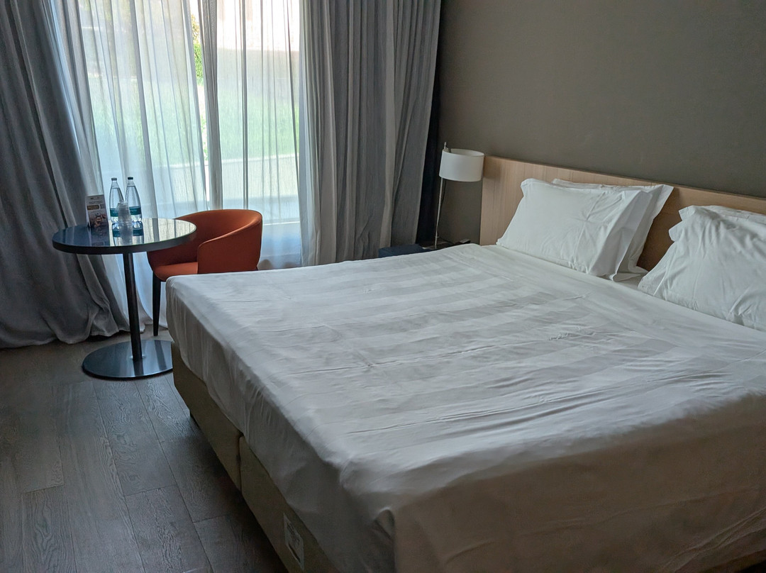 Parc Hotel Billia主图
