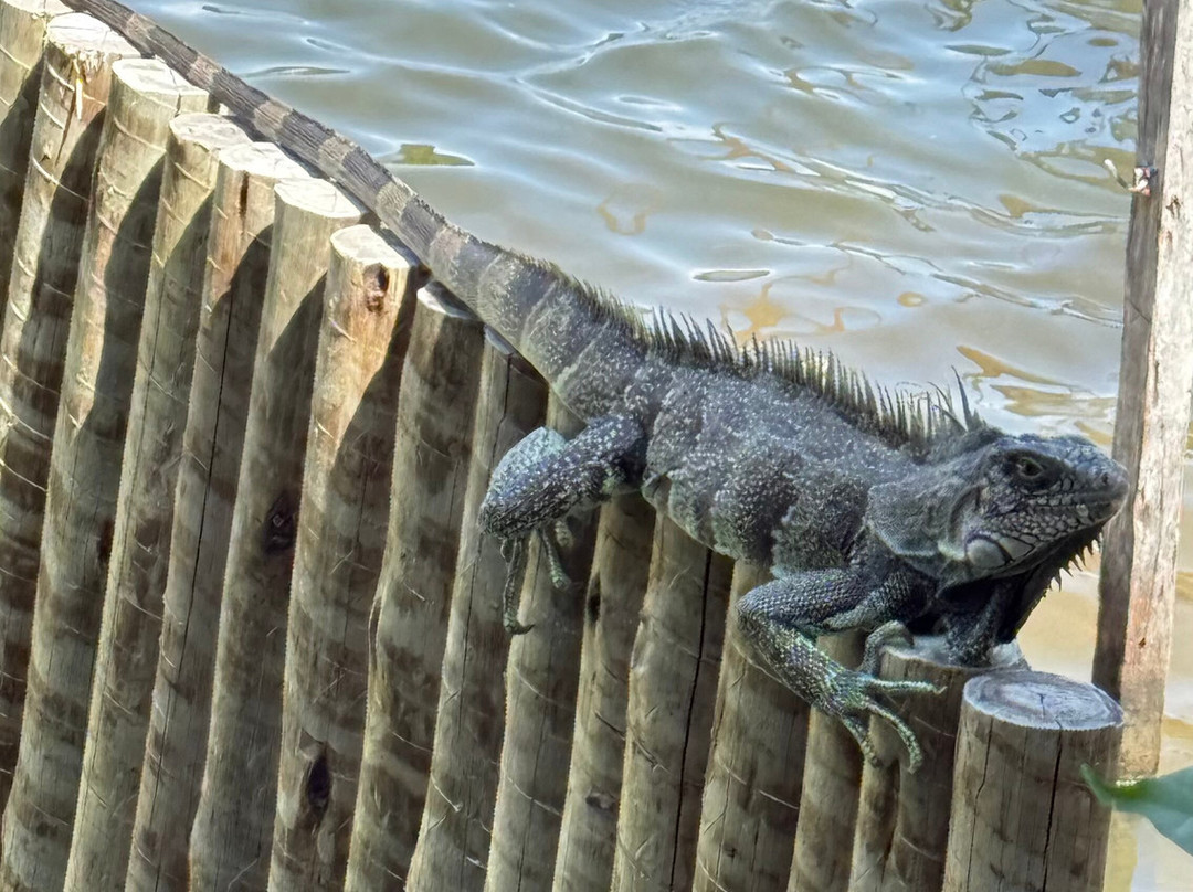 Pousada do Porto主图