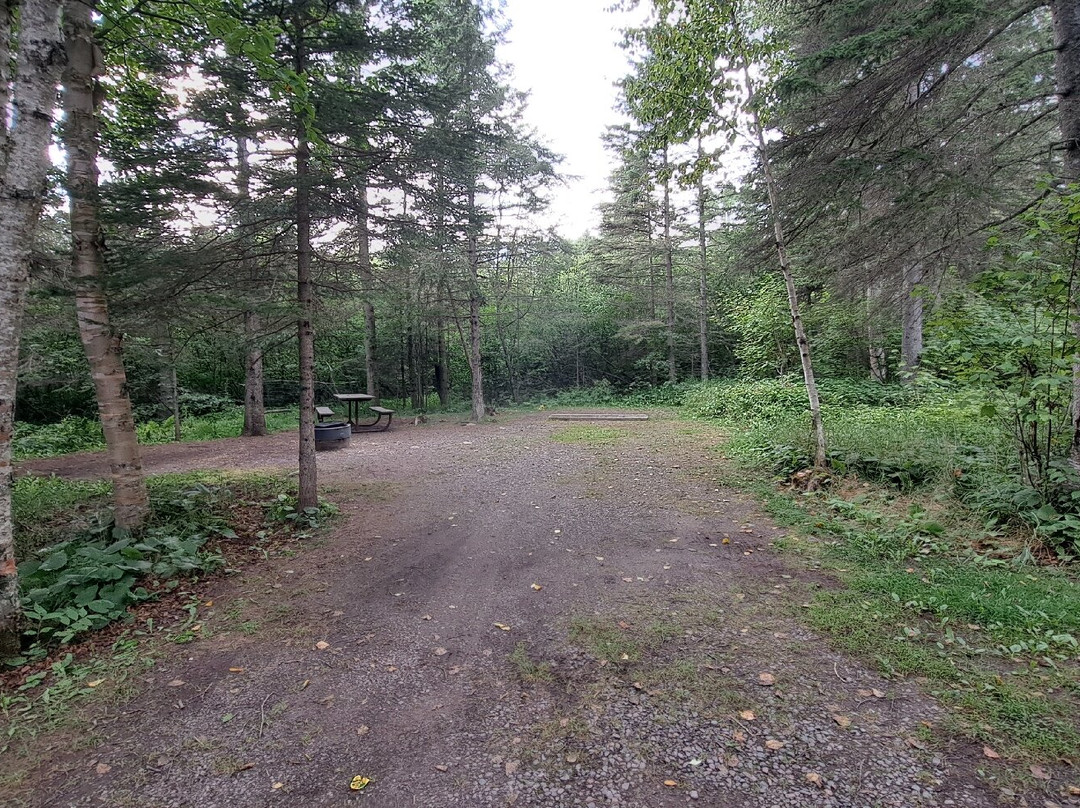 Judge C.R. Magney State Park-大马雷必去景点