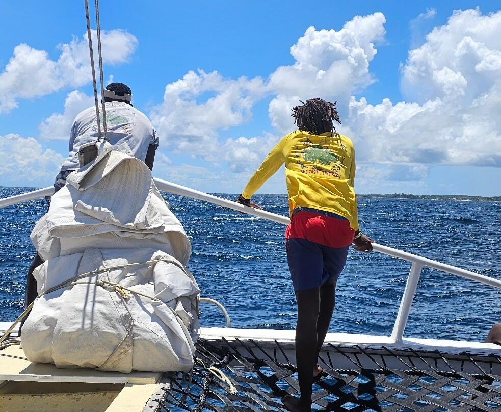 Wadadli Cats-安提瓜必去景点