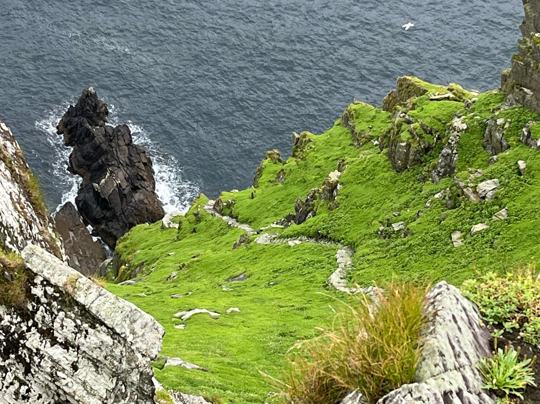 Skelligs Rock Cruises-Portmagee必去景点