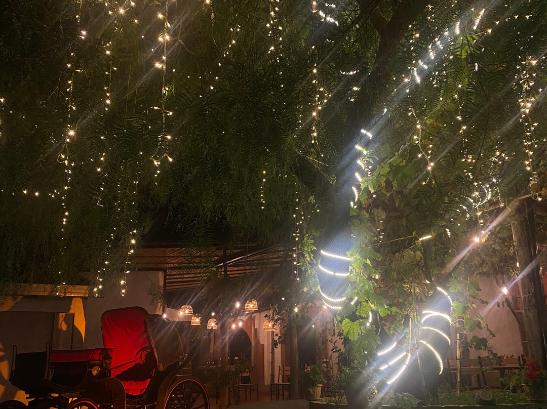 Viñedos Y Bodega Daroca-塔里哈必去景点