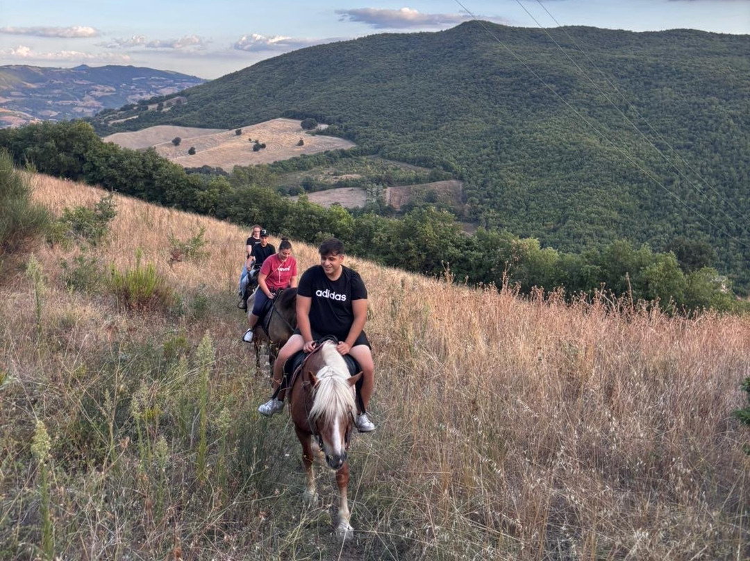 Passeggiata a cavallo a Guardialfiera-Guardialfiera必去景点