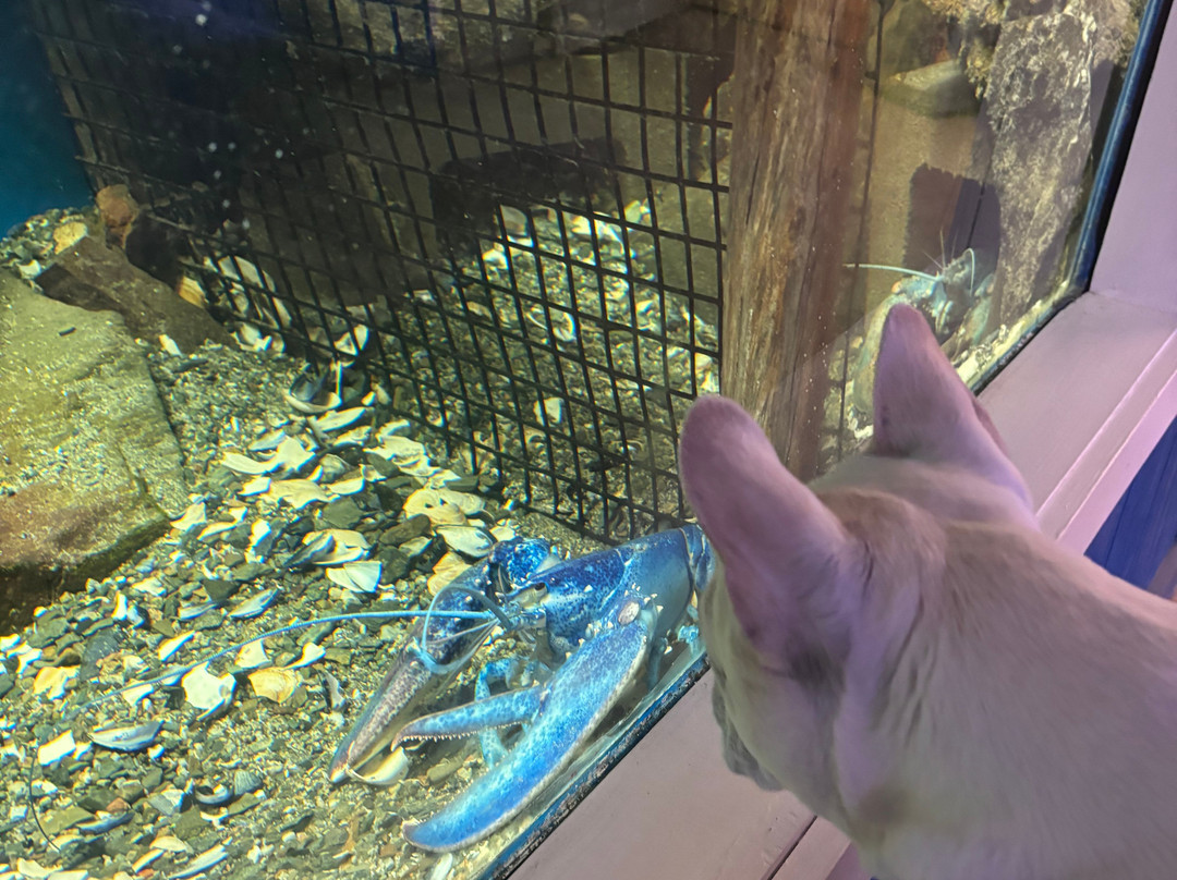 Oceanarium And Education Center-巴港必去景点