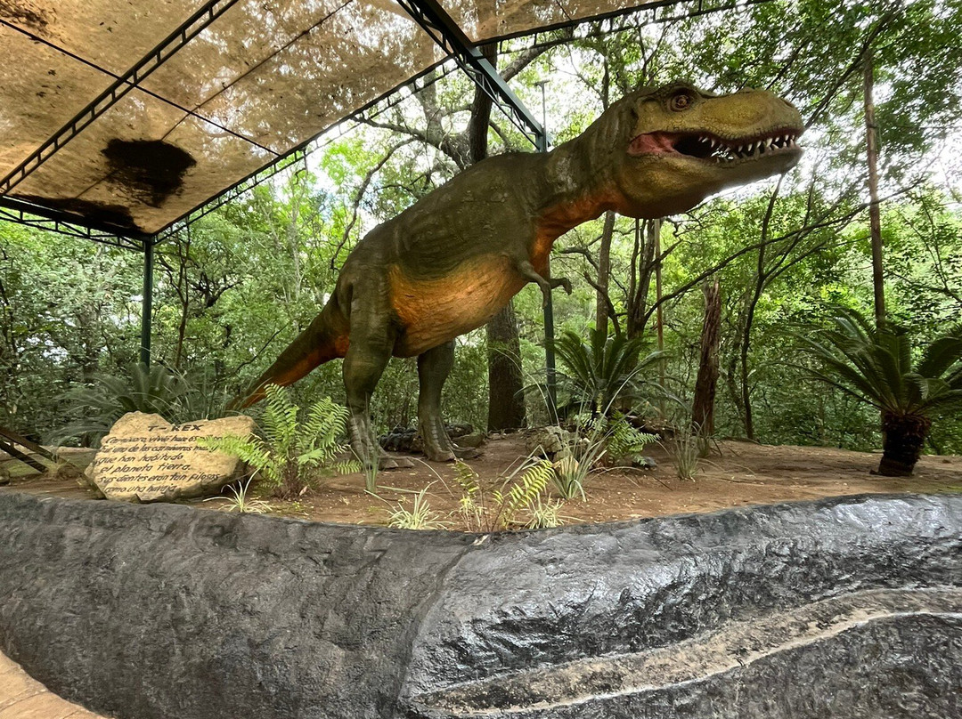 Bioparque Estrella-Montemorelos必去景点