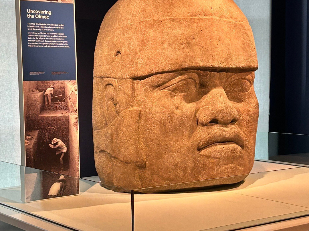 耶鲁大学皮博迪自然史博物馆-纽黑文必去景点