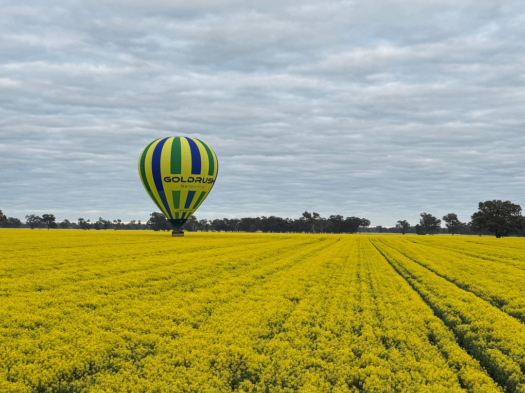 Goldrush Ballooning King Valley-King Valley必去景点