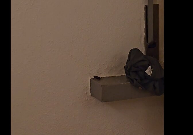 Pinhal da Marina主图