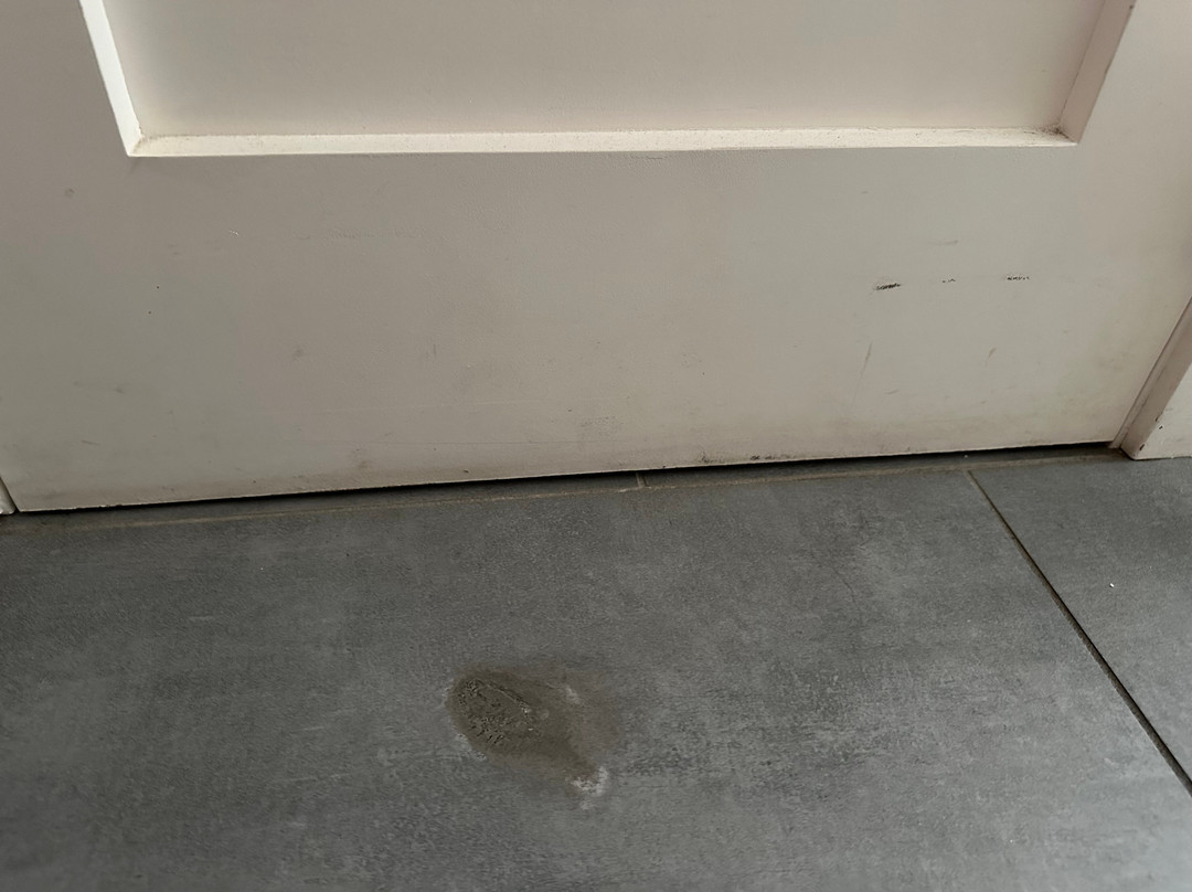 Hampton Inn & Suites New Haven - South - West Haven主图