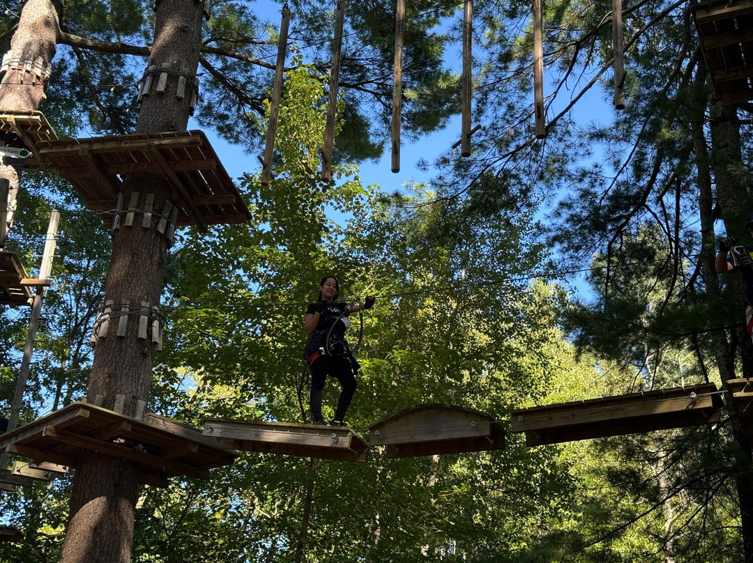 TreeTop Adventures Canton-Canton必去景点