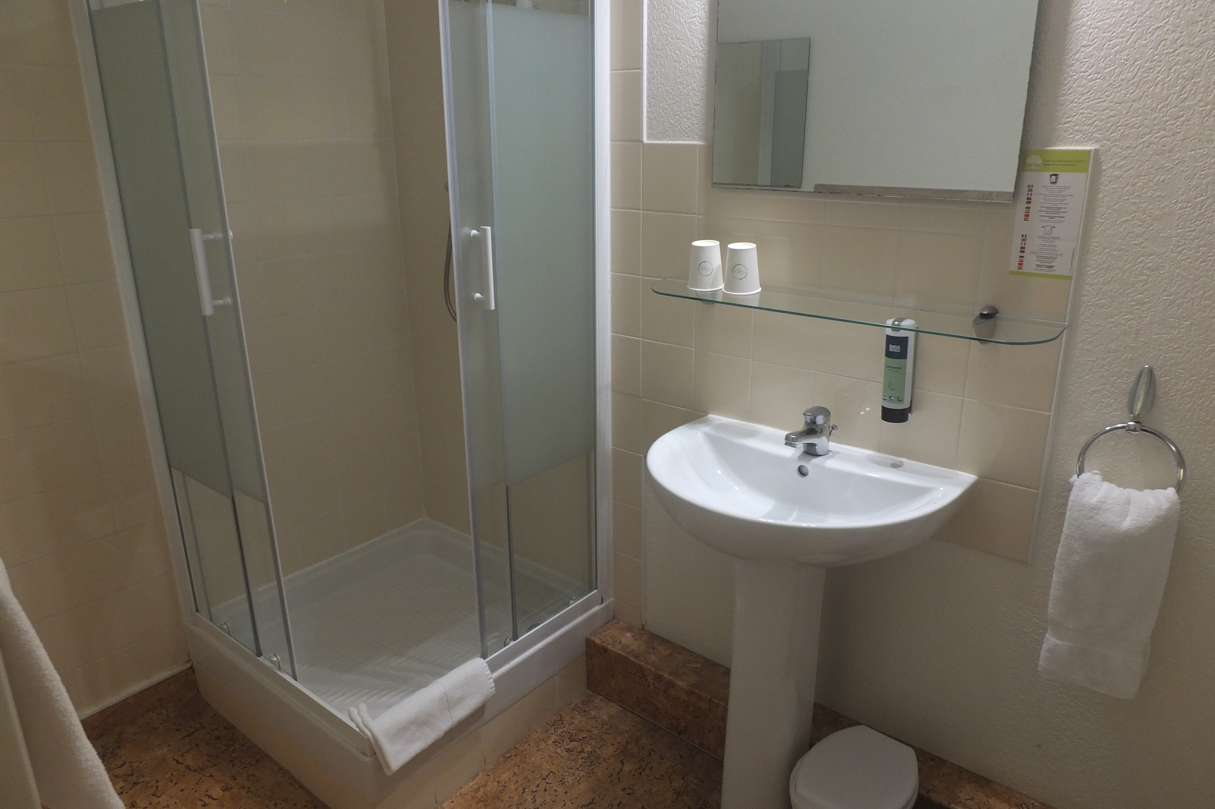 Hotel Le Bretagne-浴室