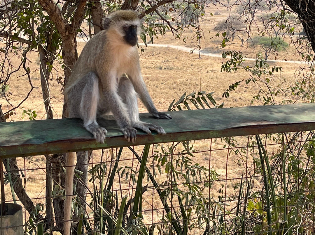 Extreme Travel-布拉索夫必去景点