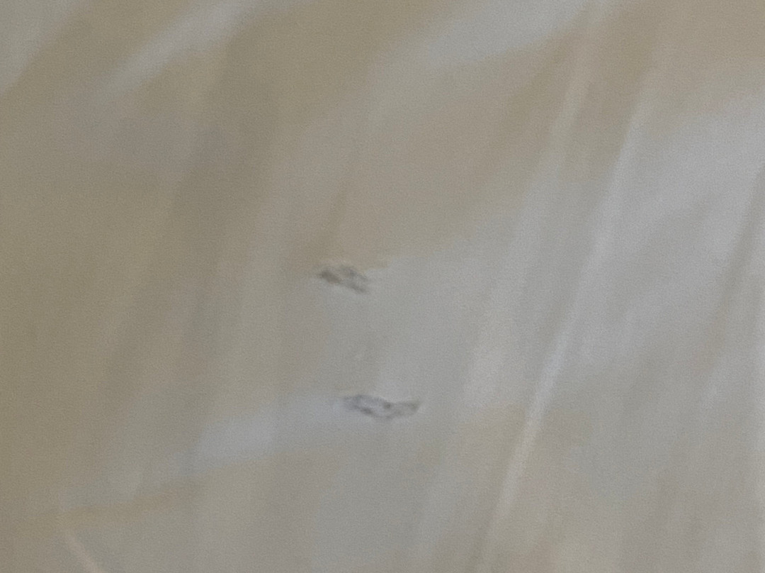 宜必思麦凯酒店主图