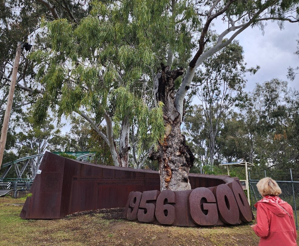 Macintyre Riverwalk-Goondiwindi必去景点