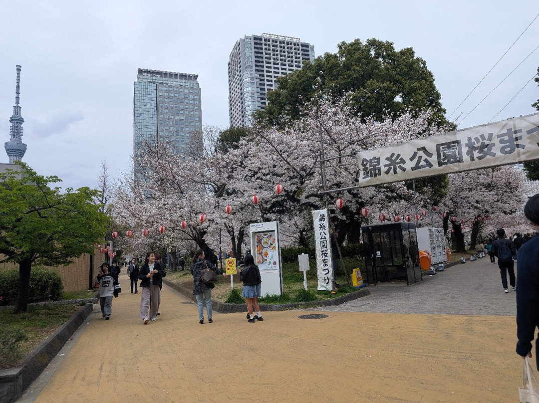 Kinshi Park-墨田区必去景点