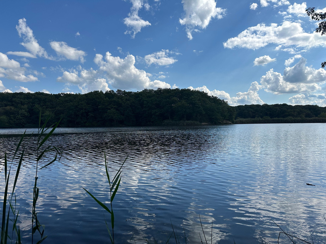 Cheesequake State Park-Matawan必去景点