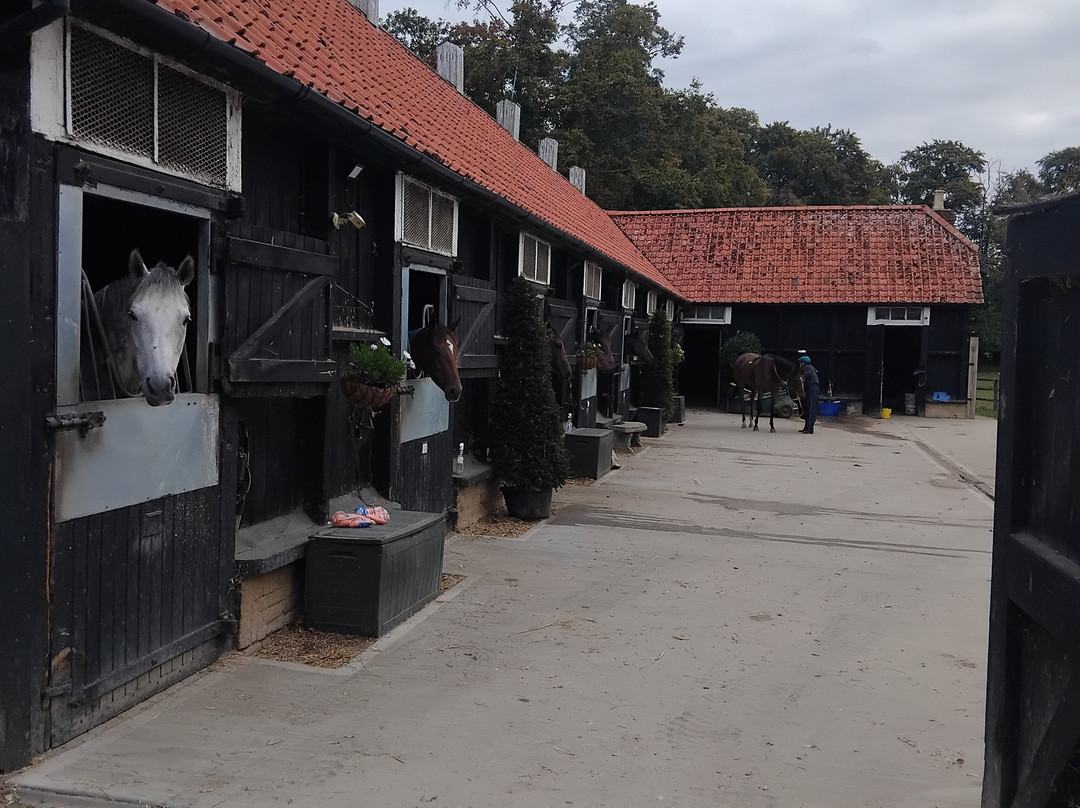 Discover Newmarket Tours-纽马克特必去景点