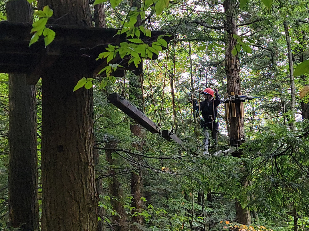 Ramblewild-Lanesborough必去景点