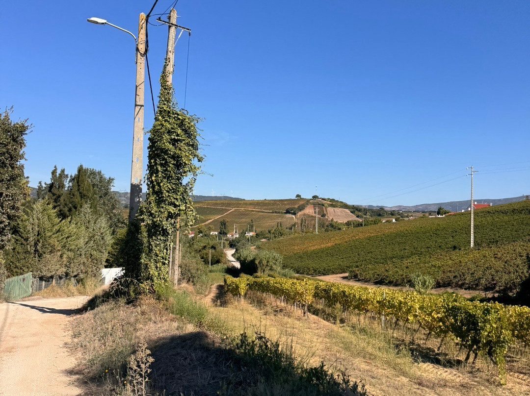 Cambeiros - Guest House主图