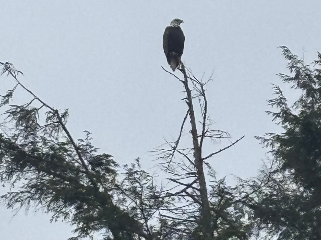 Filingo Fly Fishing-Gouldsboro必去景点