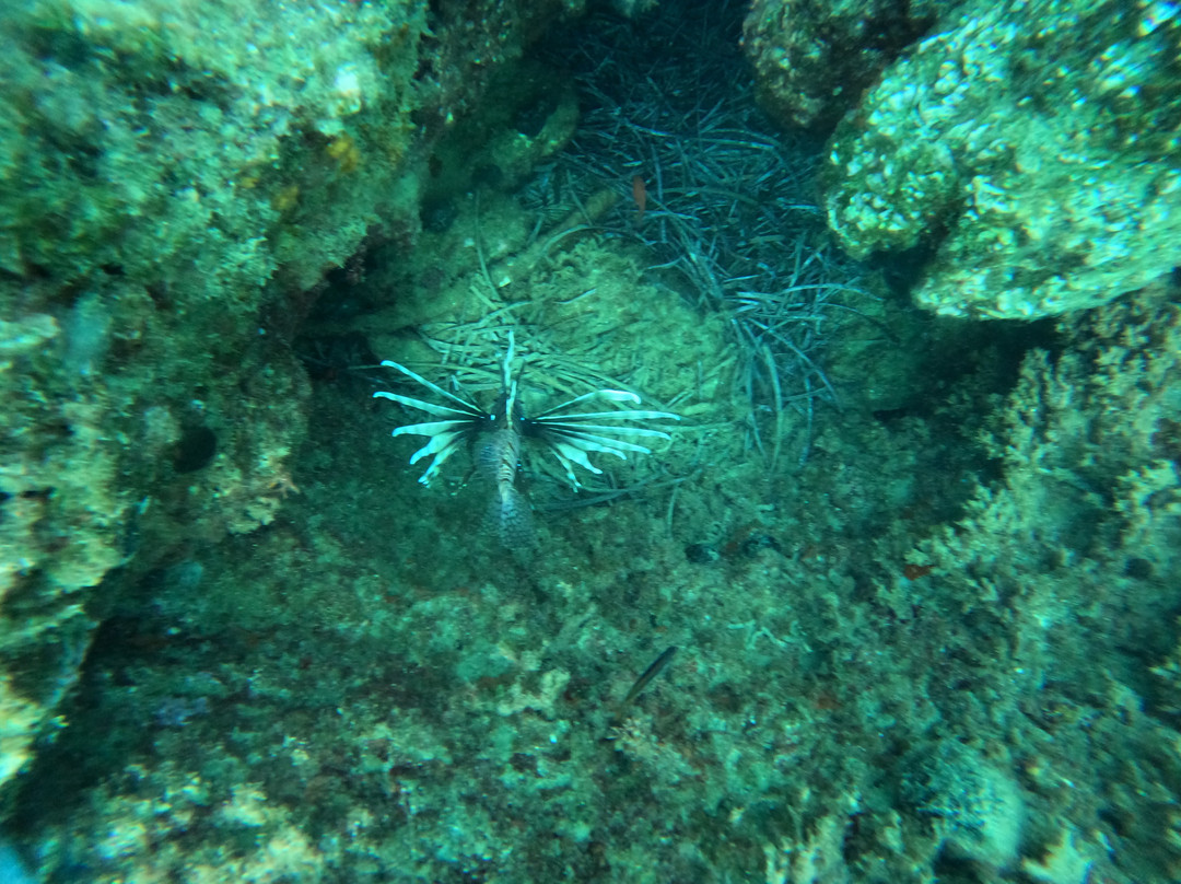 Active Blue Diving Center-库萨达斯必去景点