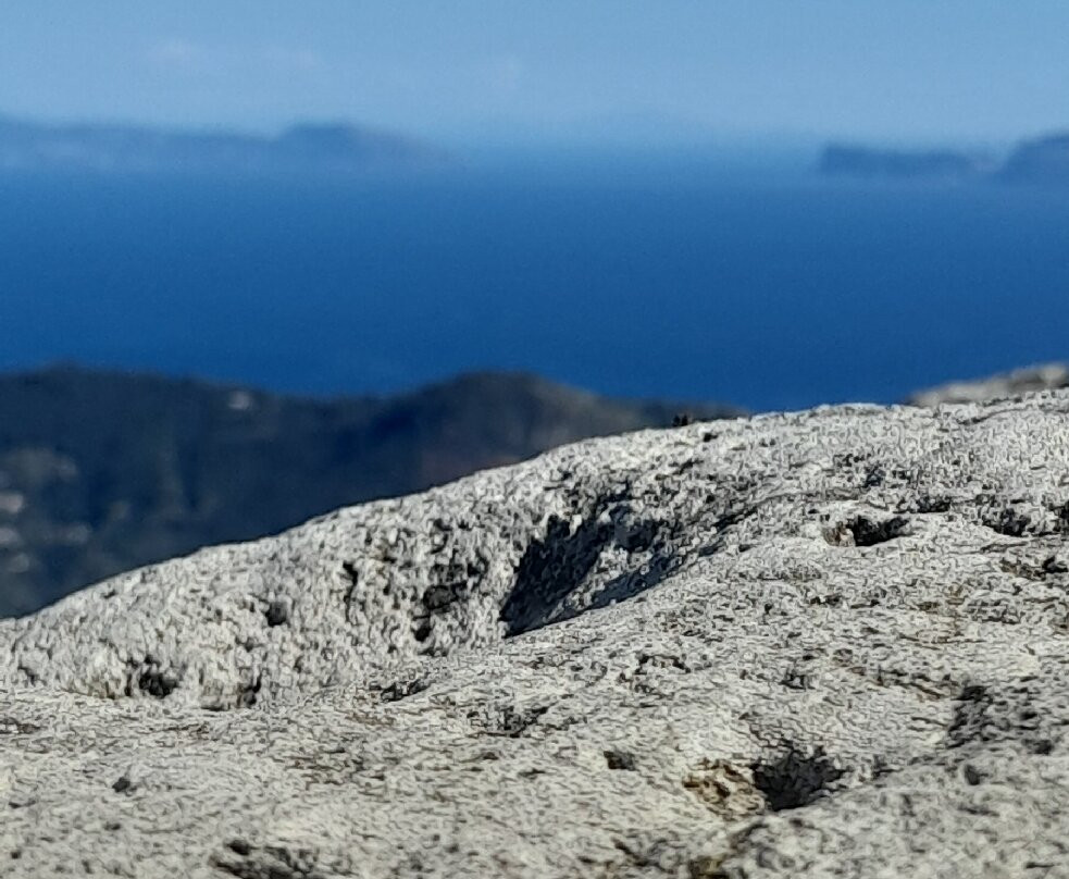 Monte Epomeo-Isola d'Ischia必去景点