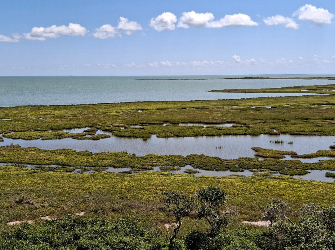 Aransas National Wildlife Refuge-Austwell必去景点