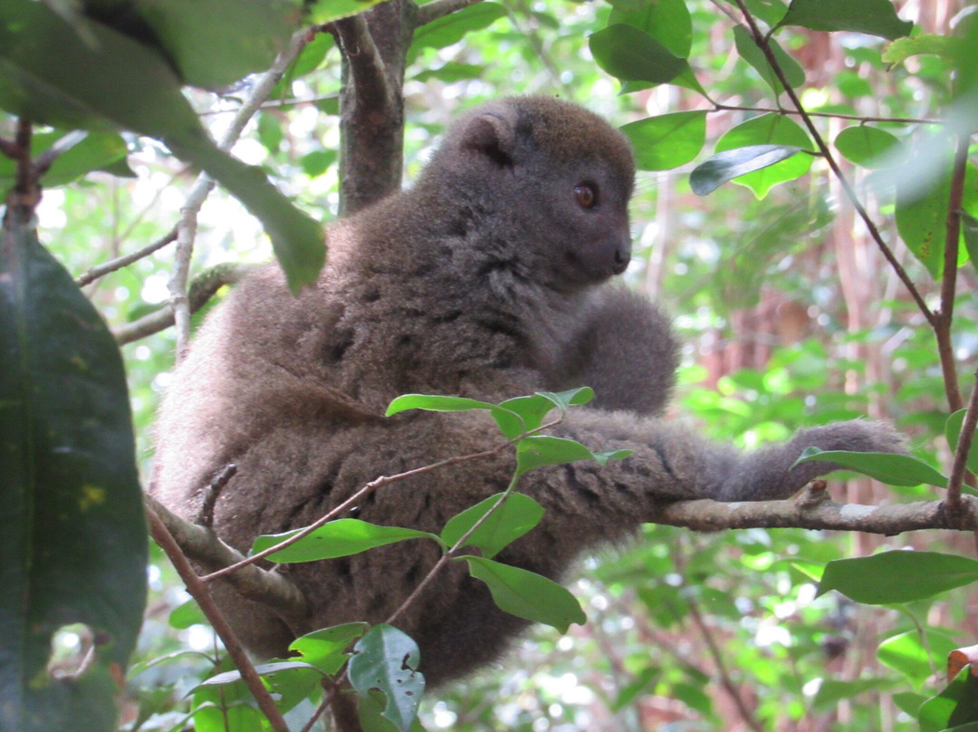 Ramartour Madagascar s.a.r.l.-Ambohidratrimo必去景点
