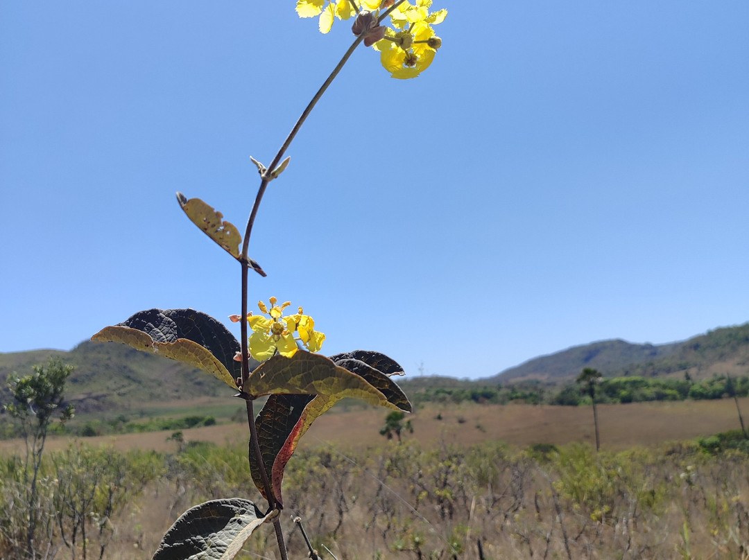 Cachoeira Candaru-Cavalcante必去景点