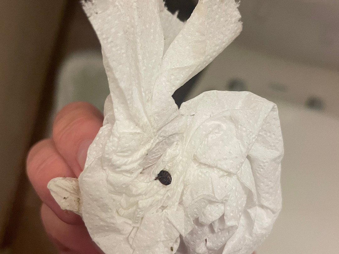 London Travel Inn主图