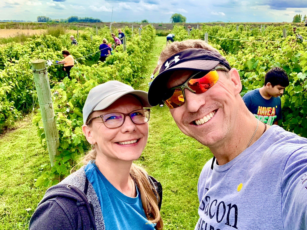 Grape Mill Vineyard and Winery-East Grand Forks必去景点