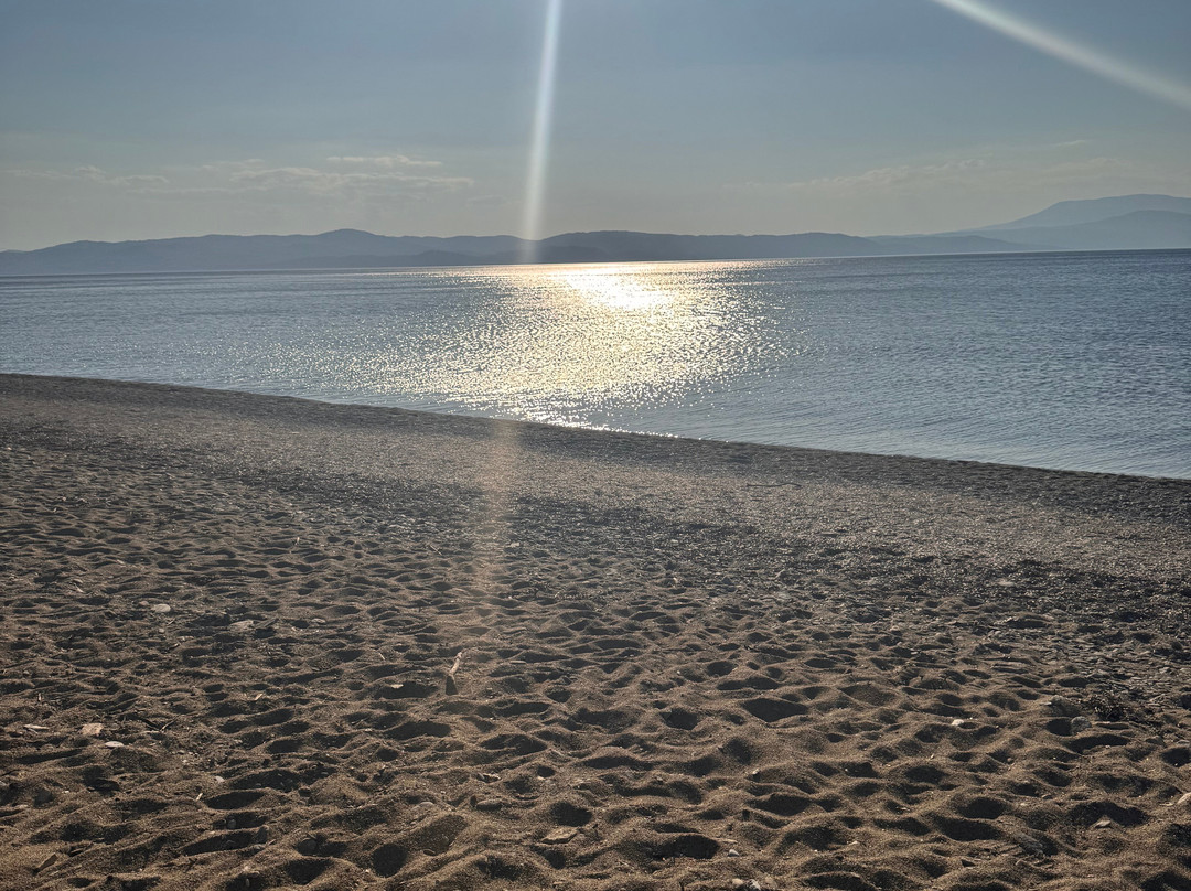 Ligaries Beach-斯亚索斯必去景点