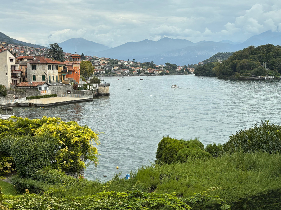 Musa Lago Di Como主图