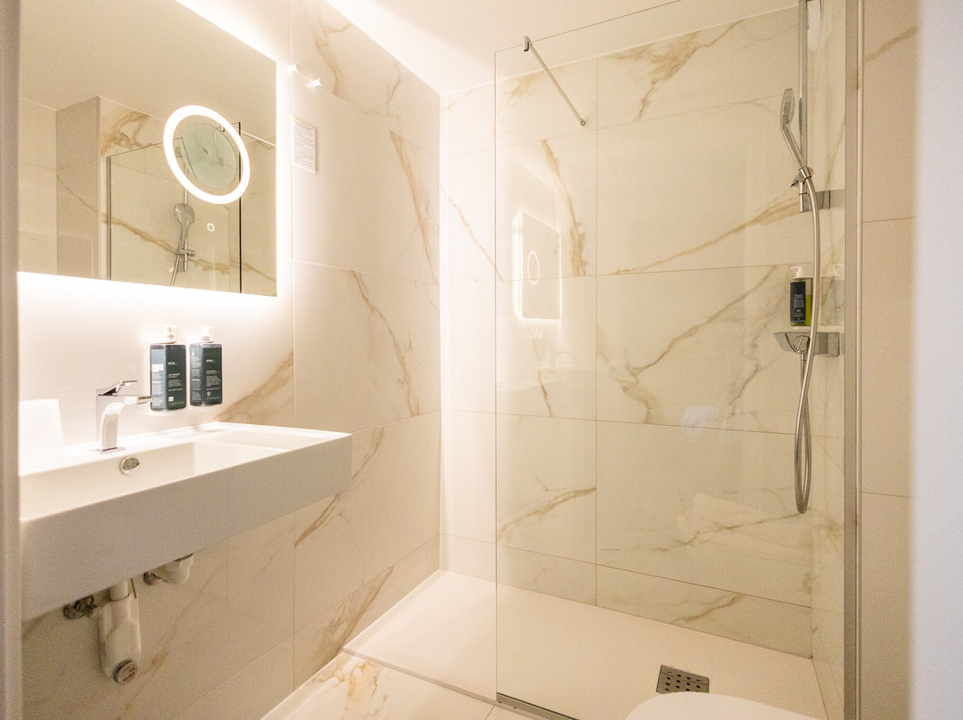 Brit Hôtel et Spa Colmar East主图