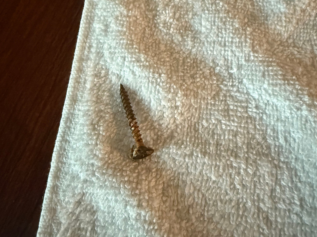 Seahorse Oceanfront Inn主图