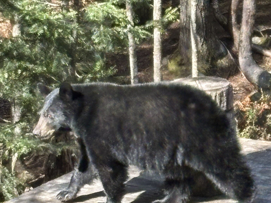 Domaine Le Pic Bois-拉马尔拜必去景点