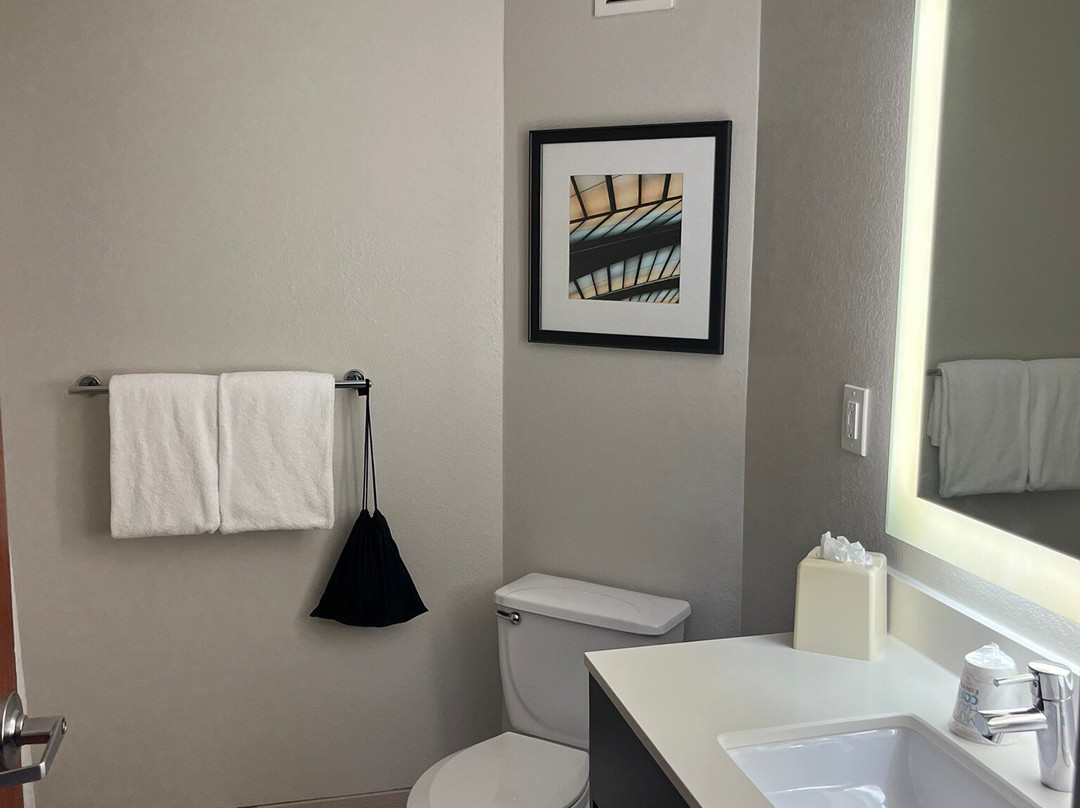 Holiday Inn Express & Suites New Orleans Airport South By IHG主图