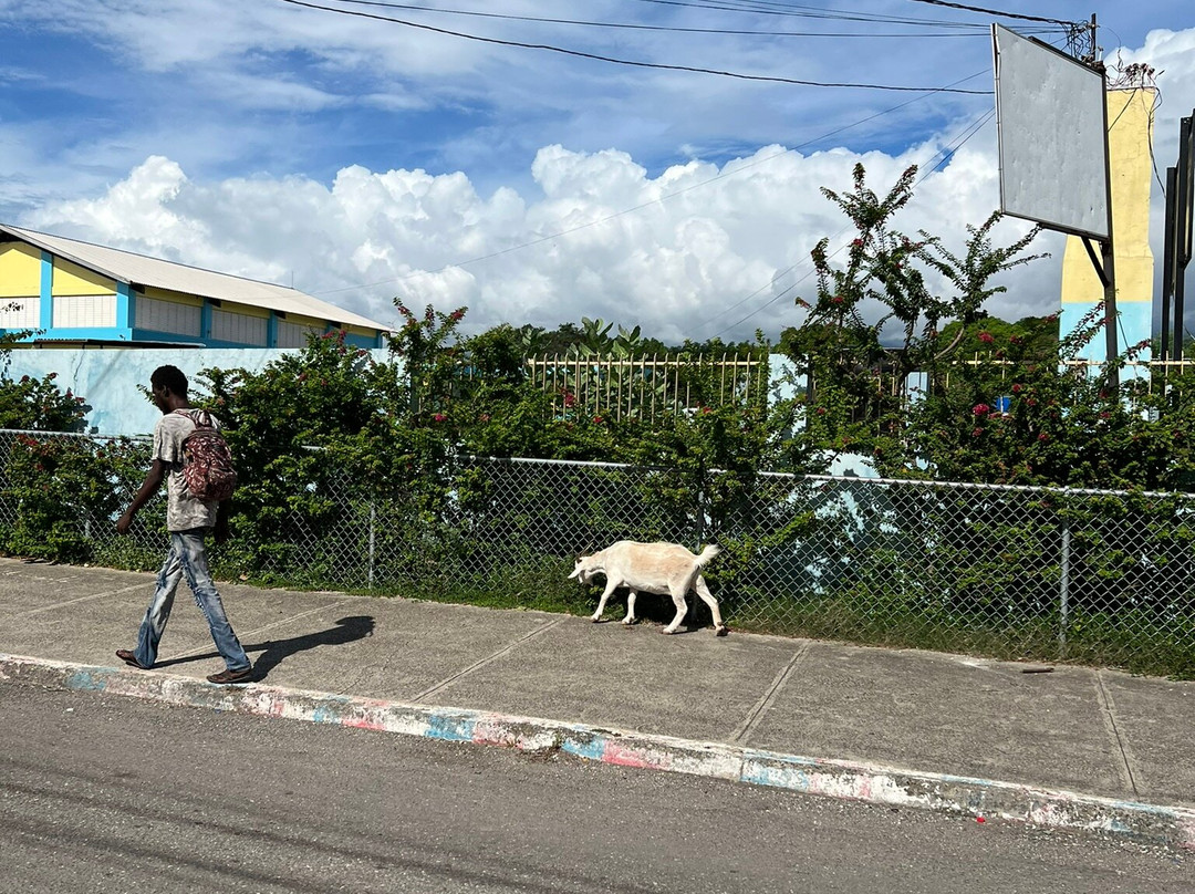 Trench Town-金斯敦必去景点