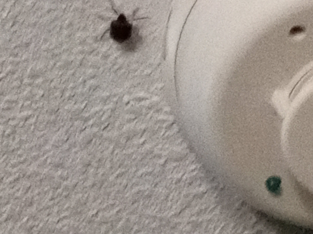 Quality Inn Mt. Pleasant主图