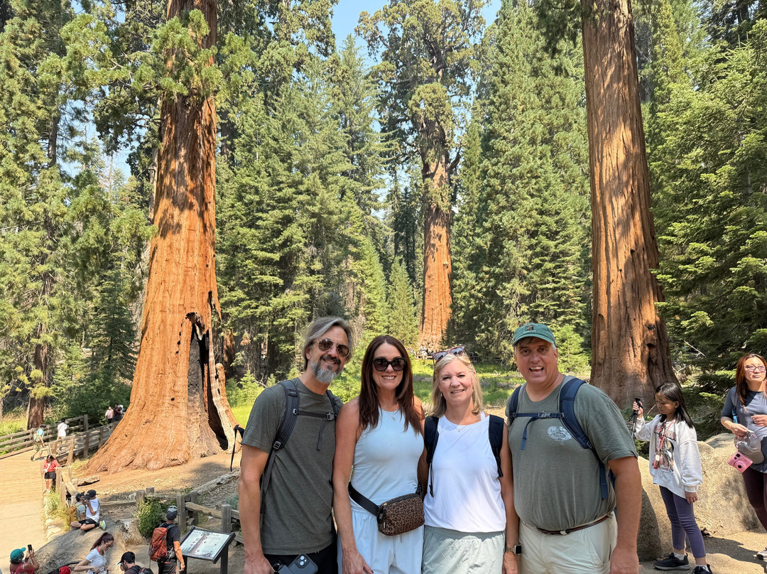 Congress Trail-红杉&国王峡谷国家公园必去景点