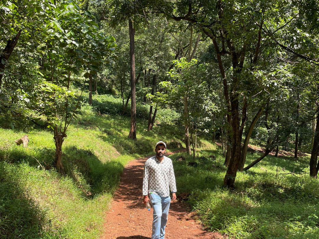 Netravali Wildlife Sanctuary-Netravali必去景点