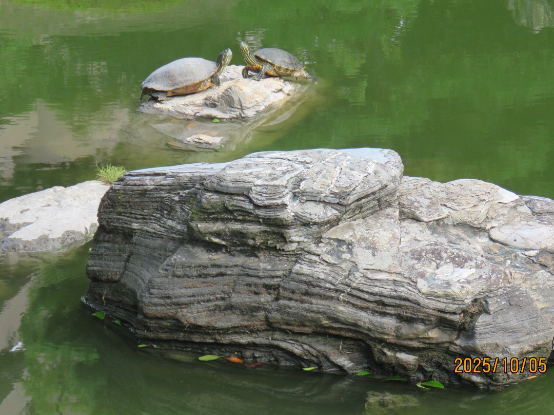 Former Tokushima Castle Omote Goten Teien-德岛市必去景点
