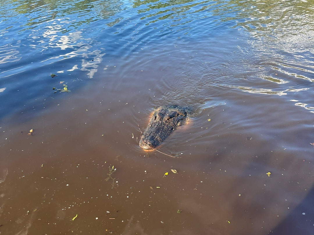 New Orleans Airboat Tours-Marrero必去景点