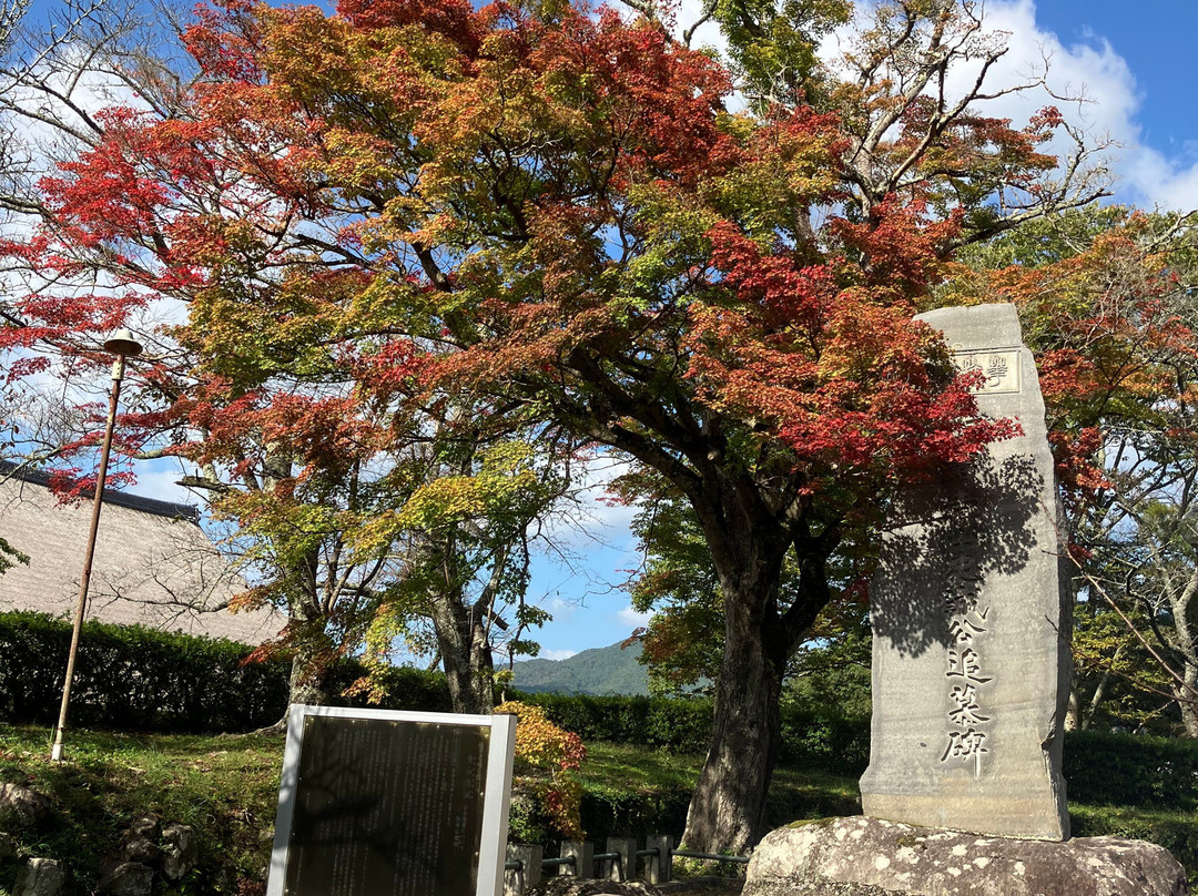 Sasayama Castle Old SIte-丹波篠山必去景点