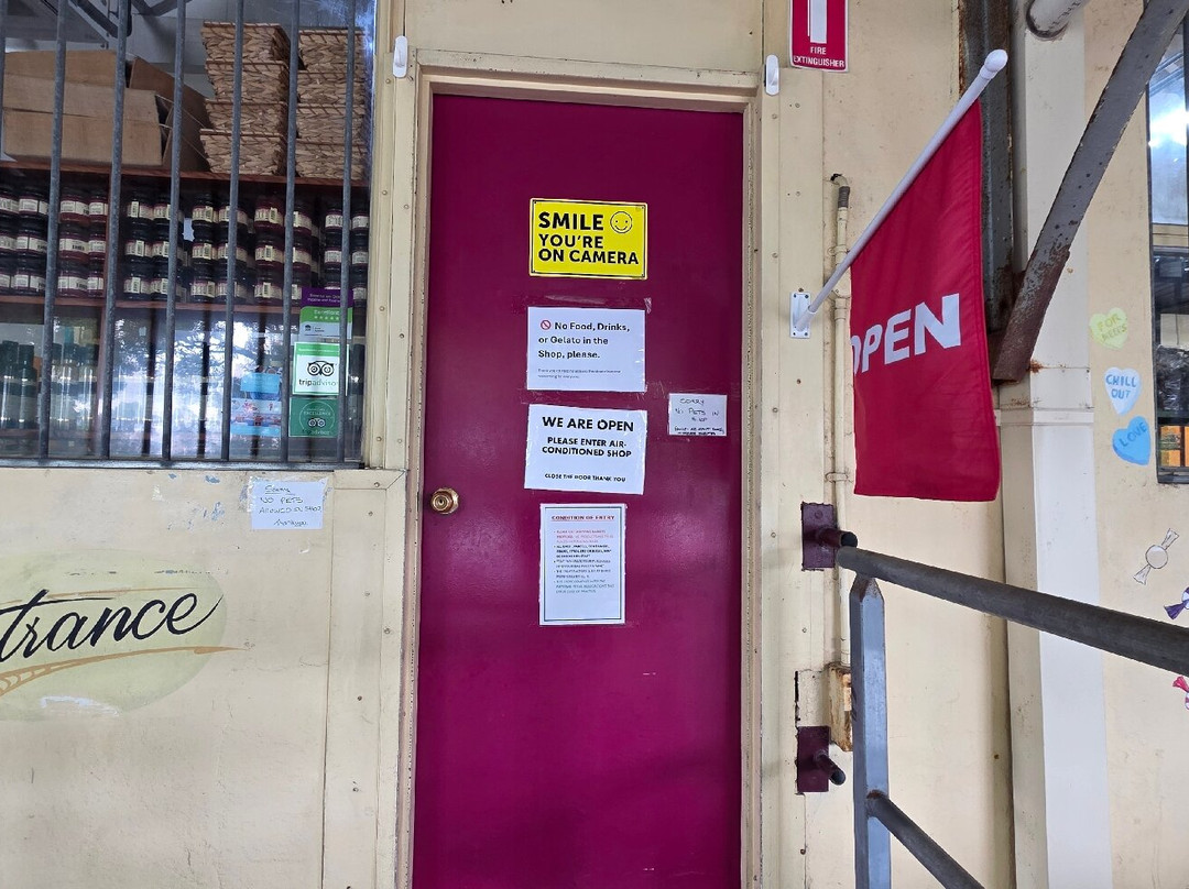 The Treat Factory-Berry必去景点