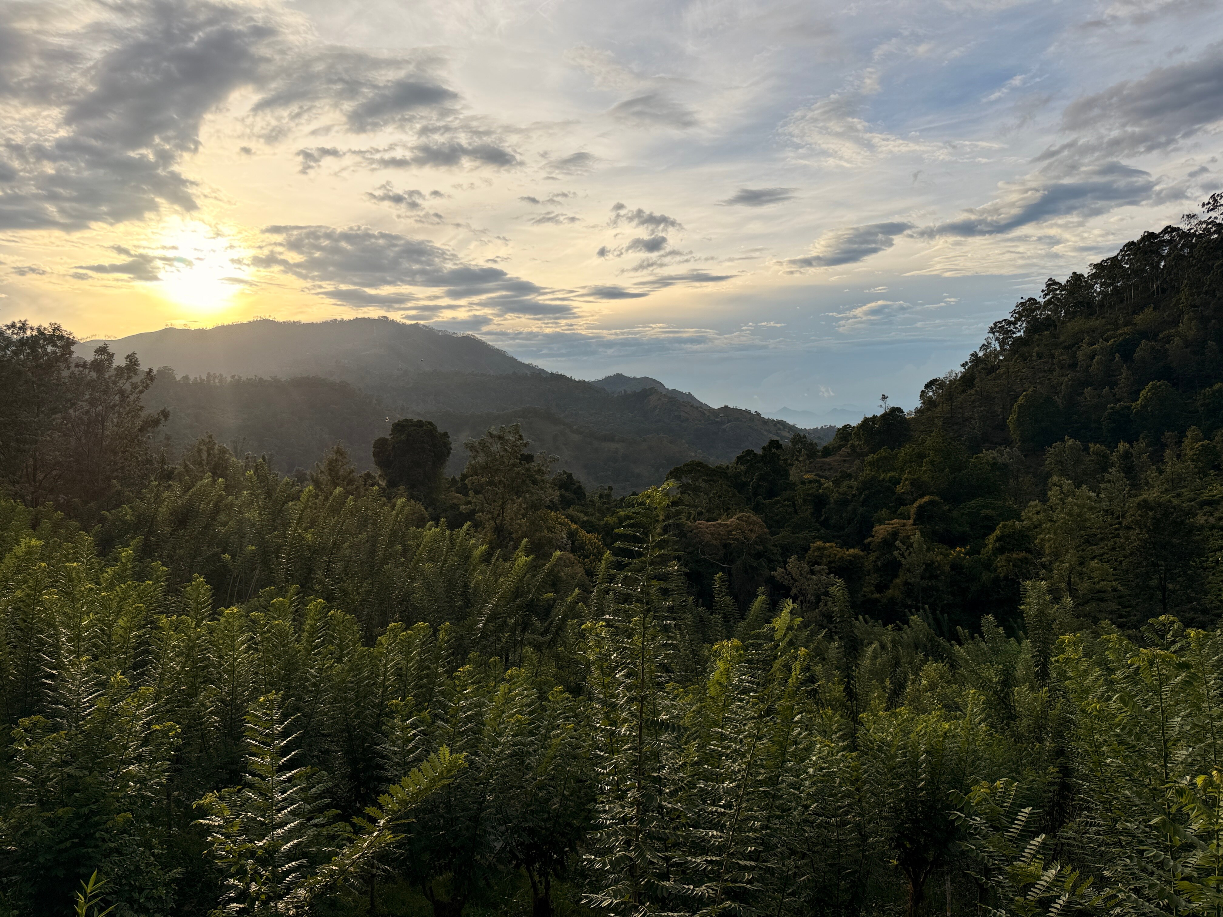 98英亩度假村-酒店景观
