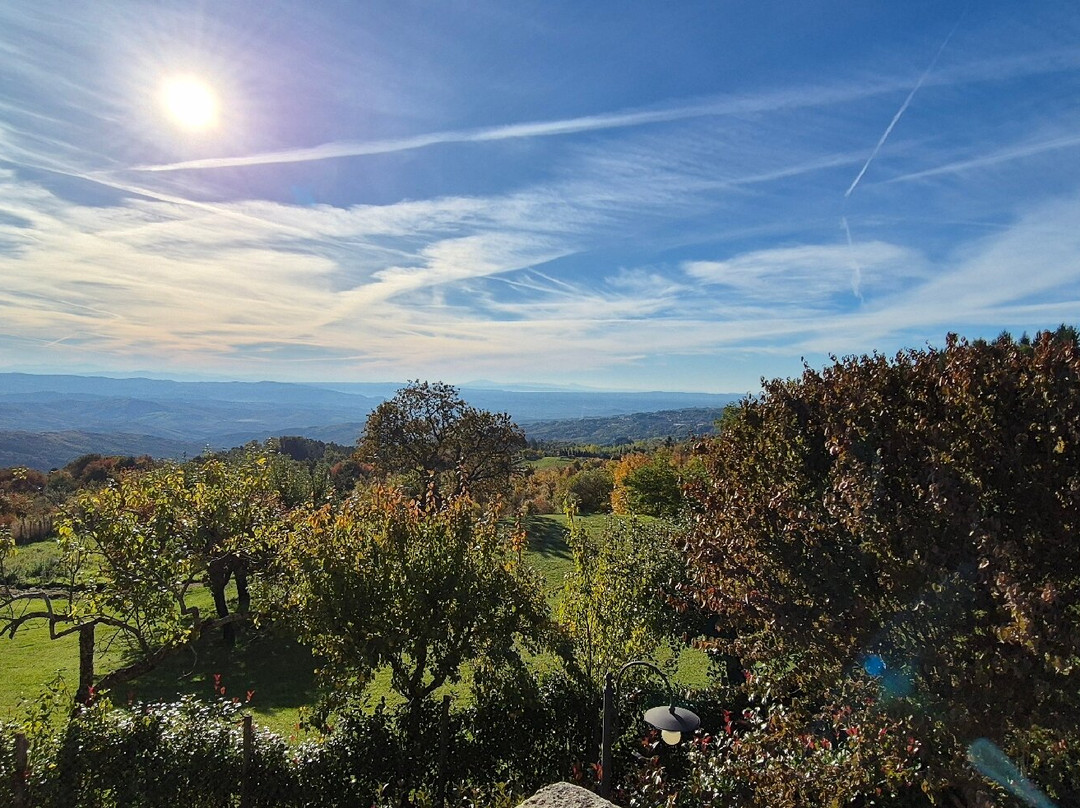 Agriturismo Biagiotti主图
